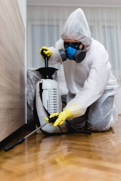 Best Bed Bug Extermination  in Souderton, PA